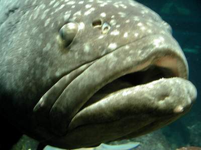 disney_2000_129_Disney2000 Sea World 30 May376.JPG